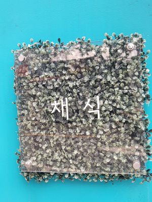 "" at Soiroum in Seoul