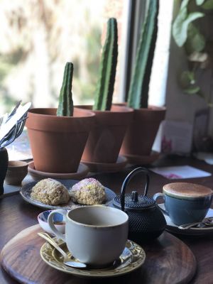 Yum  at Forest Eats in Kiama