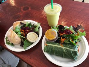 The best smoothie options veg gf roll at Blended Choice in Guerneville