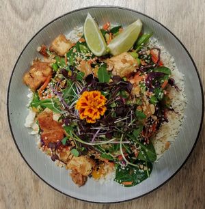 Satay tofu bowl at Hunter in Rye