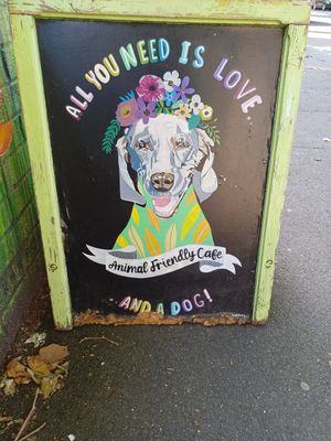  at Crocus Cafe in Nottingham