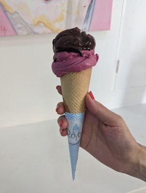 Dark chocolate and pomegranate & berry sorbet at Royo in Rhodes