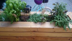 Little garden :) at T&Ko in Leuven