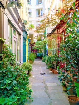 hidden street at Vegan Food Tours Paris in Paris
