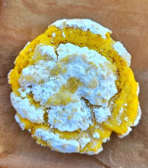 Lemon crinkle cookie at Timeless Coffee Roasters and Bakery in Berkeley