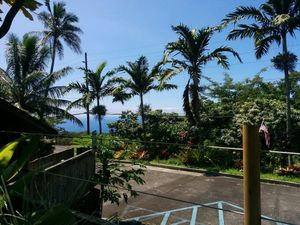 the view at The South Kona Fruit Stand in Captain Cook