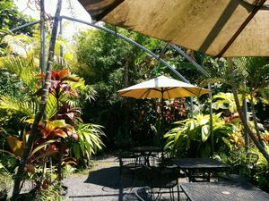 seating ares at The South Kona Fruit Stand in Captain Cook