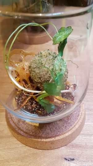 Starter on the tasting menu at Naturalead in Kowloon