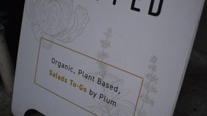 organic plant based food at Plum Chopped in Seattle