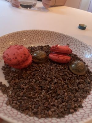 macaroons and chocolate at Gauthier Soho in London