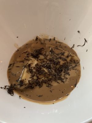 truffle pasta at Gauthier Soho in London