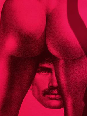 No meat here! Riské picture in the gentlemen’s toilet  at Gauthier Soho in London