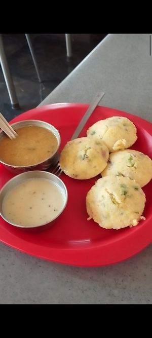  at Rathore Restaurant in Udaipur