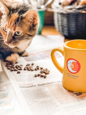 . at Cocoa Cinnamon - Lakewood in Durham