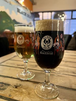 Vegan beers inc non alcoholic   at Black Isle Bar and Rooms in Inverness