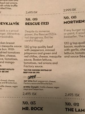 Menu at Hamborgarafabrikkan in Reykjavik