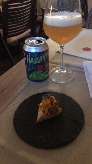 Appetiser   at Gaudi&Naan in Ljubljana