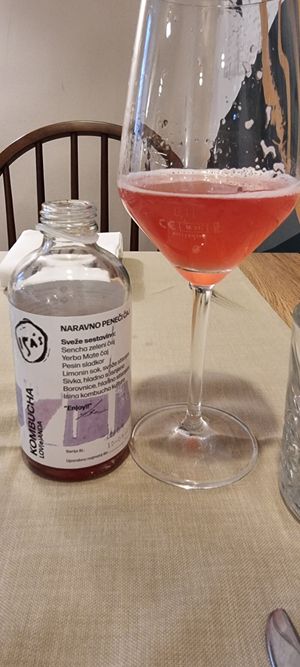 Kombucha at Gaudi&Naan in Ljubljana