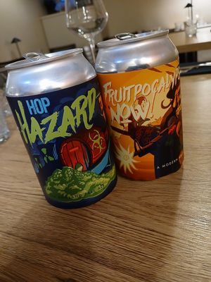 Slovenian craft beer (brewed in Maribor) at Gaudi&Naan in Ljubljana