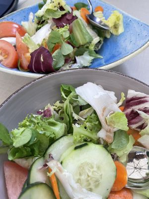 Big bowl plain sallad as starter  at Gaudi&Naan in Ljubljana