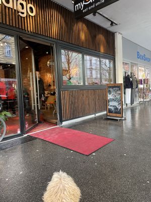   at my indigo - Museumstraße in Innsbruck