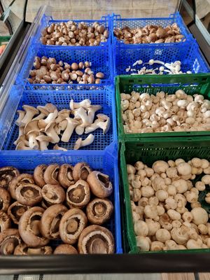 Fresh mushrooms at Coop Content in Leuven