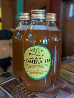 Kombucha at Dobra Cajovna in Havirov