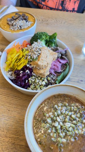   at Daily Pot in Bergen