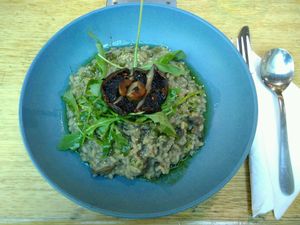 Mushroom risotto w/ shiitake & vegan parmesan for $20 at Watson's Eatery in Dunedin