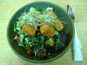 Summer Buddha bowl: Avocado & seasonal greens w/ citrus dressing topped w/ panko crumbed tofu for $16 at Watson's Eatery in Dunedin