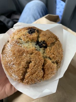 Epic muffins!  at Watson's Eatery in Dunedin