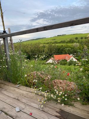 Ausblick  at Weingut Trautwein - Restaurant & Hotel in Flonheim