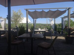  at Weingut Trautwein - Restaurant & Hotel in Flonheim