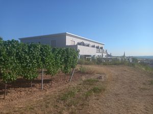  at Weingut Trautwein - Restaurant & Hotel in Flonheim