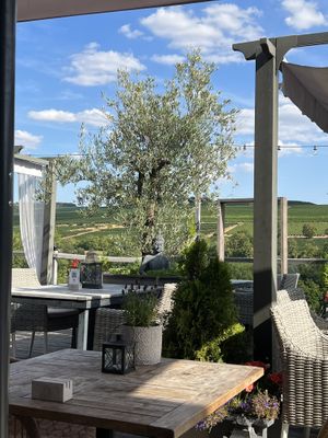 Terrasse   at Weingut Trautwein - Restaurant & Hotel in Flonheim