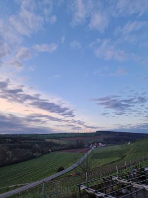 Aussicht at Weingut Trautwein - Restaurant & Hotel in Flonheim
