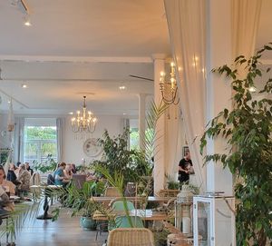 Plants and air made the dining room feel lux at Weingut Trautwein - Restaurant & Hotel in Flonheim