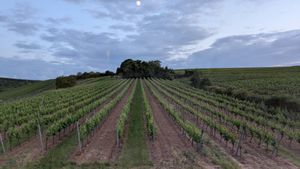  at Weingut Trautwein - Restaurant & Hotel in Flonheim