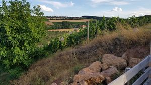 Der Ausblick von der Hotelterrasse at Weingut Trautwein - Restaurant & Hotel in Flonheim