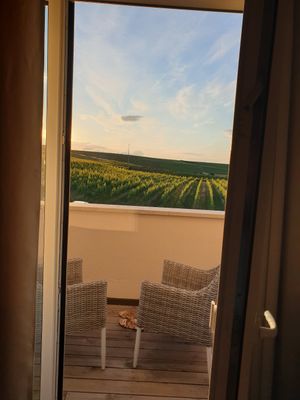 ausblick aus dem zimmer at Weingut Trautwein - Restaurant & Hotel in Flonheim