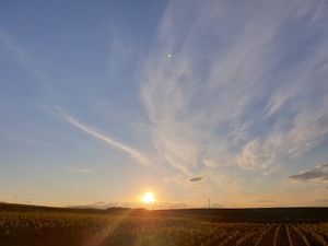 ausblick vom balkon at Weingut Trautwein - Restaurant & Hotel in Flonheim