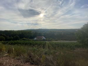 Aussicht at Weingut Trautwein - Restaurant & Hotel in Flonheim