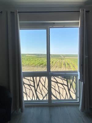 Aussicht Weinberg Zimmer  at Weingut Trautwein - Restaurant & Hotel in Flonheim