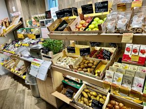   at Oasi Verde in Siena