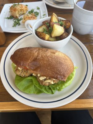 Weekly special - shark week😄 at Two Dollar Radio Headquarters in Columbus