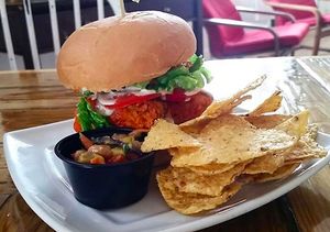 Seitan sammy at Two Dollar Radio Headquarters in Columbus