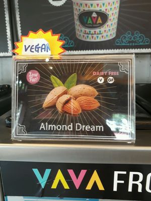 Vegan frozen yogurt at VAVA Frozen Yogurt - Thae Pae Gate in Chiang Mai