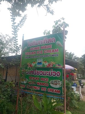  at Kohco Man in Koh Phayam