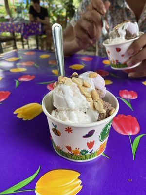 3 different flavours of ice cream - coconut, sweet potato and chocolate   at Kohco Man in Koh Phayam