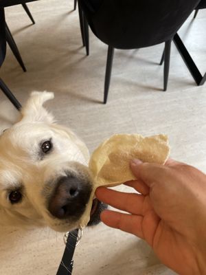   at My Hummus in Luebeck